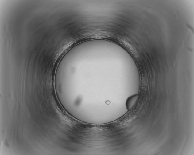 X0000096150394200801180834