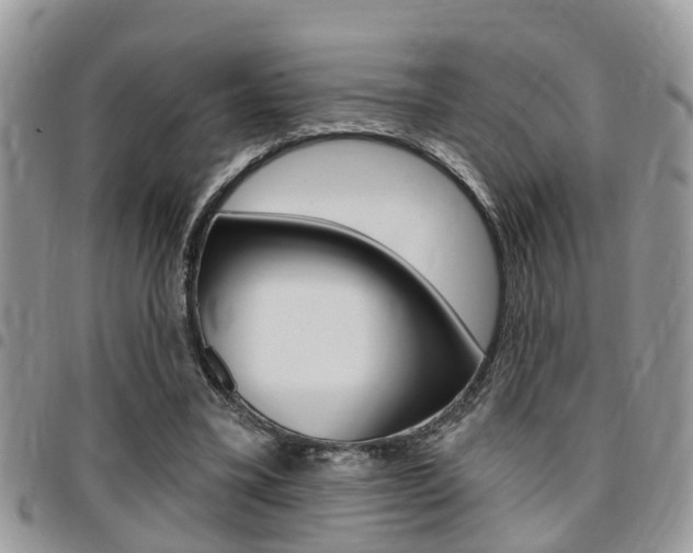 X0000096150395200801180834