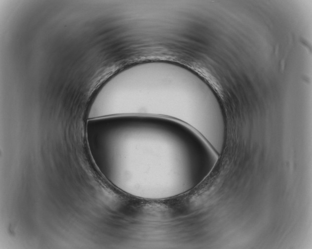 X0000096150397200801180834