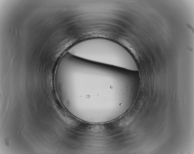 X0000096150398200801180834
