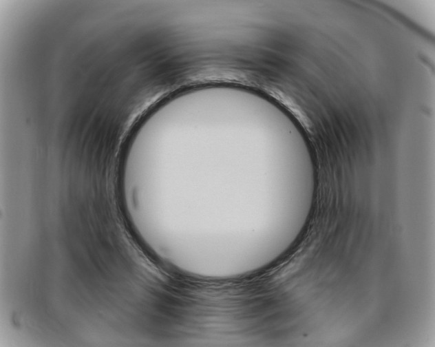 X0000096150399200801180834