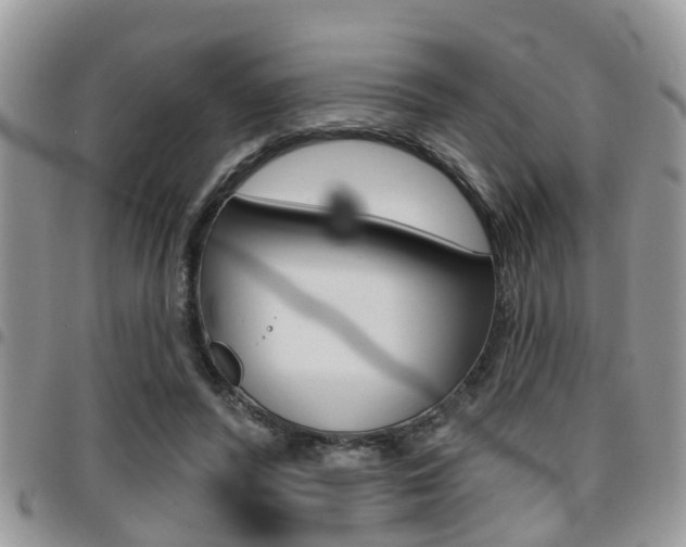 X0000096150400200801180834