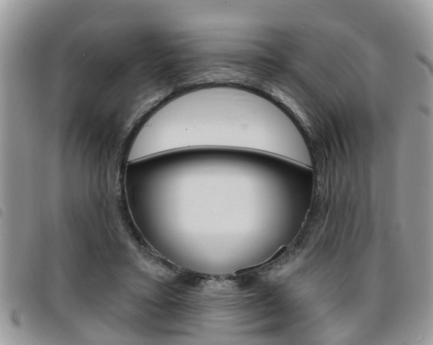 X0000096150403200801180834
