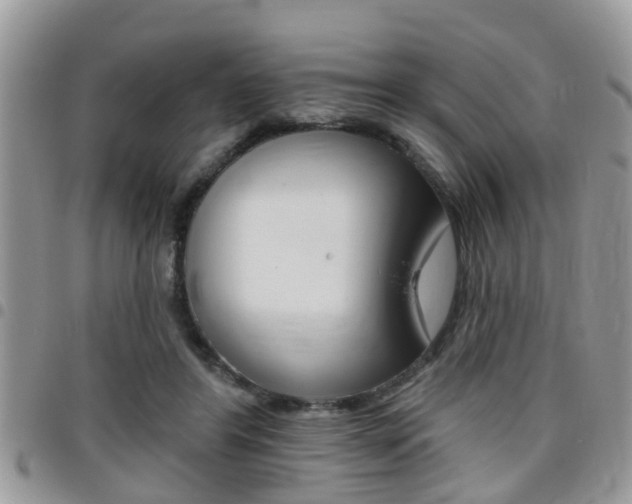 X0000096150404200801180834