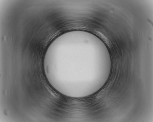 X0000096150405200801180834