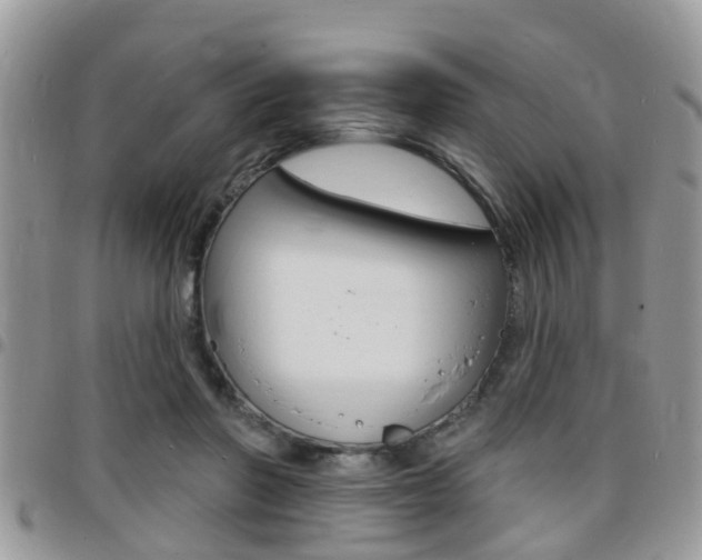 X0000096150406200801180834