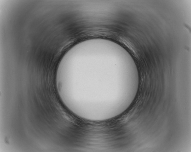 X0000096150407200801180834