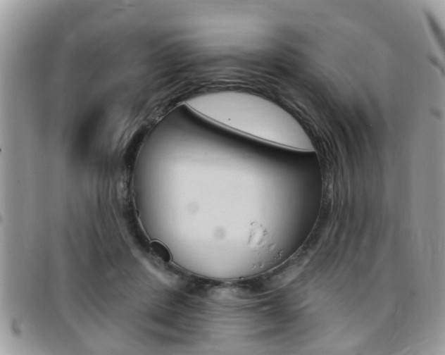 X0000096150408200801180834