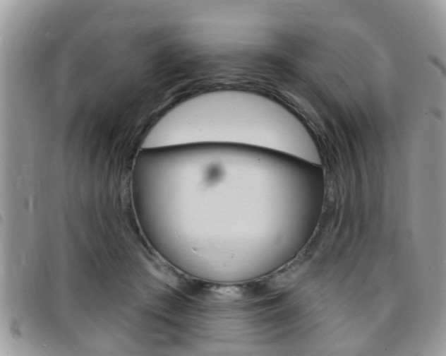 X0000096150409200801180834