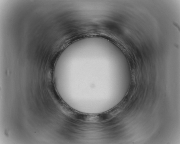 X0000096150410200801180834