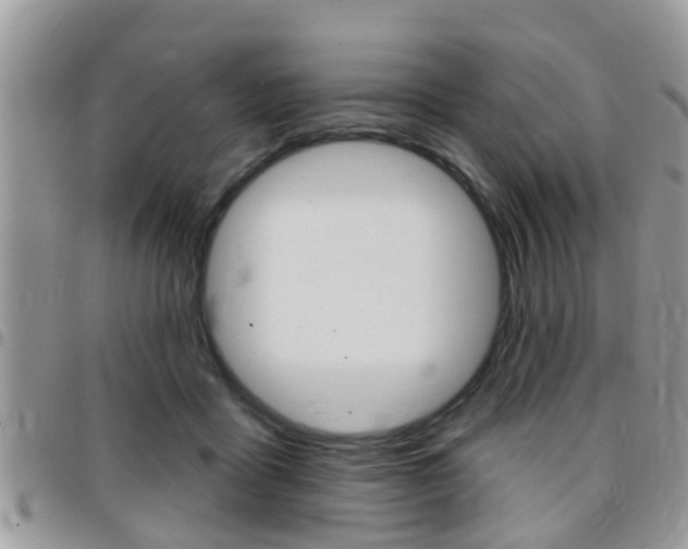 X0000096150411200801180834