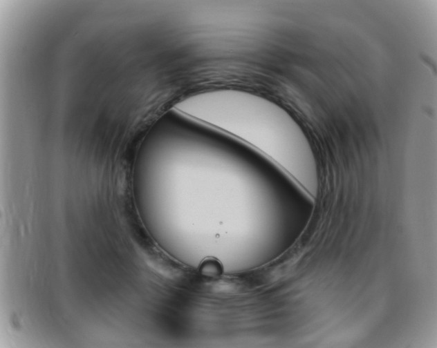 X0000096150412200801180834