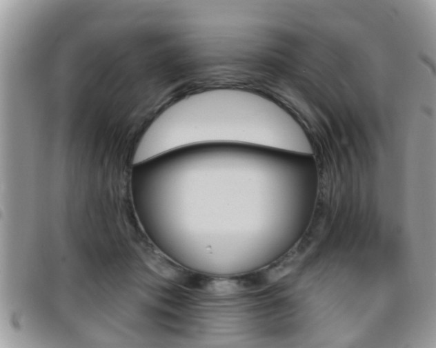 X0000096150413200801180834