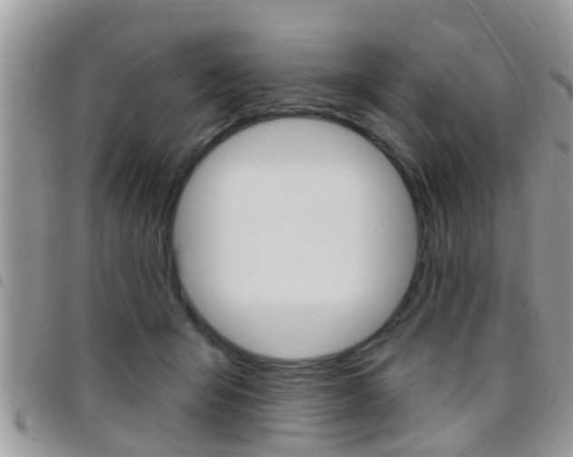 X0000096150415200801180834