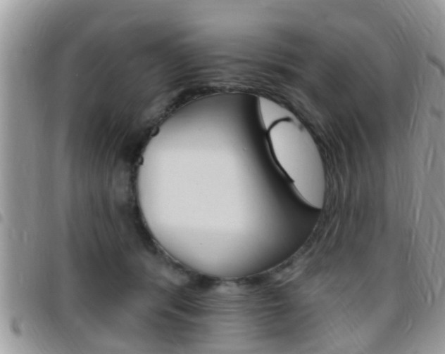 X0000096150416200801180834