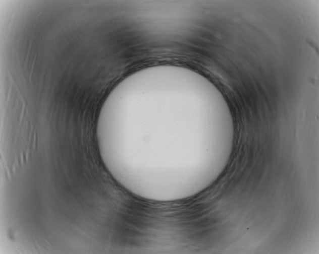 X0000096150417200801180834