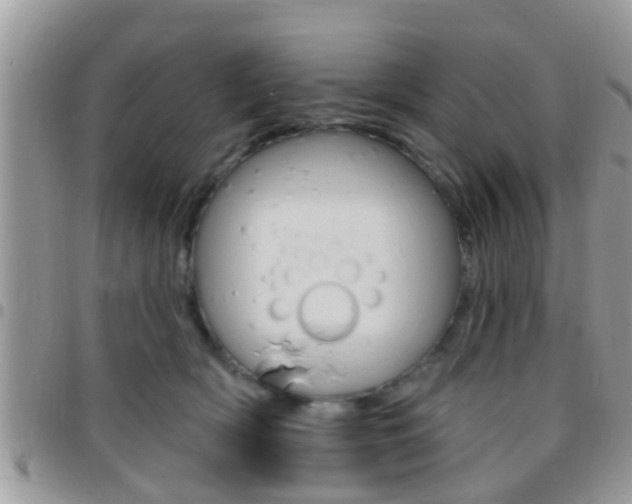 X0000096150418200801180834