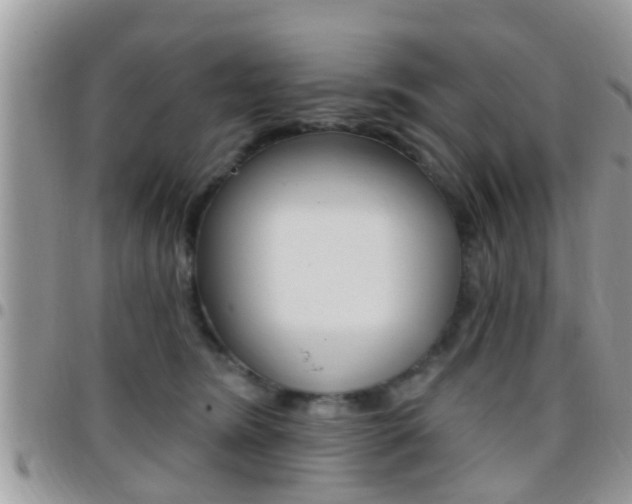 X0000096150420200801180834