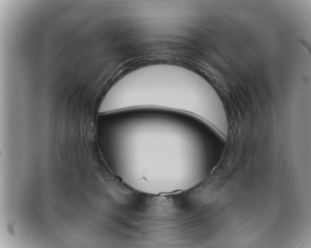 X0000096150421200801180834