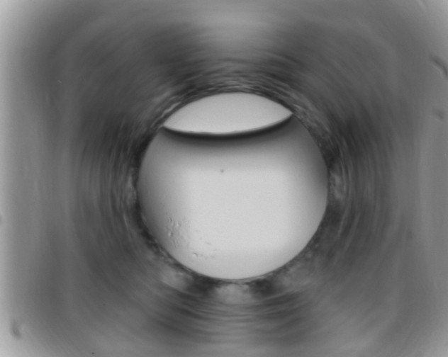 X0000096150422200801180834