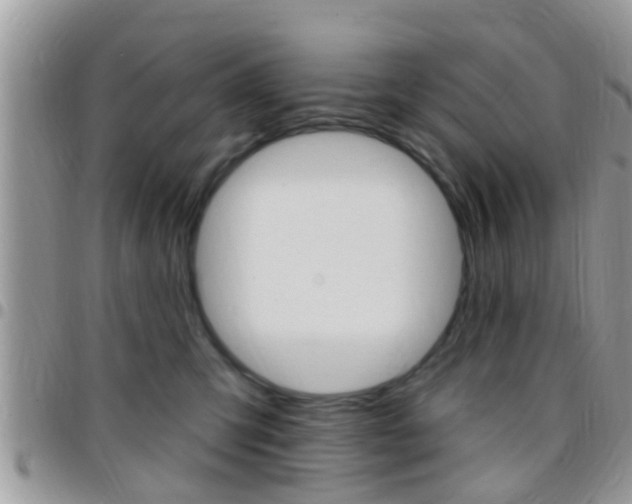 X0000096150423200801180834