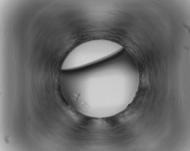 X0000096150424200801180834