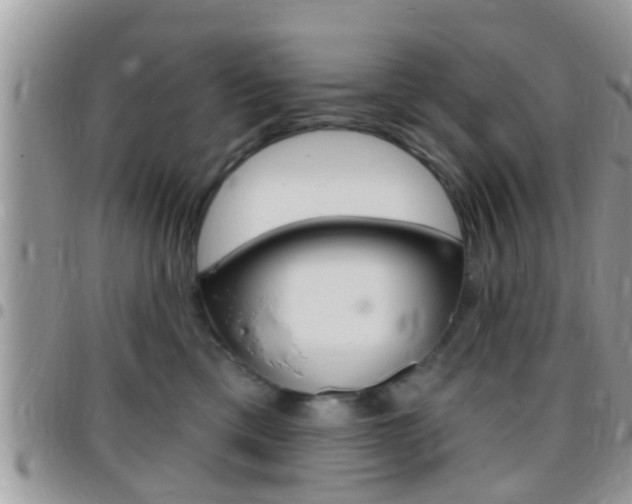 X0000096150425200801180833
