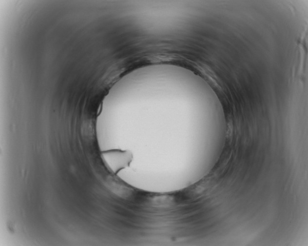 X0000096150426200801180833