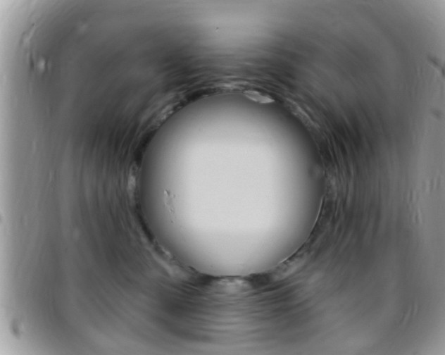 X0000096150427200801180833