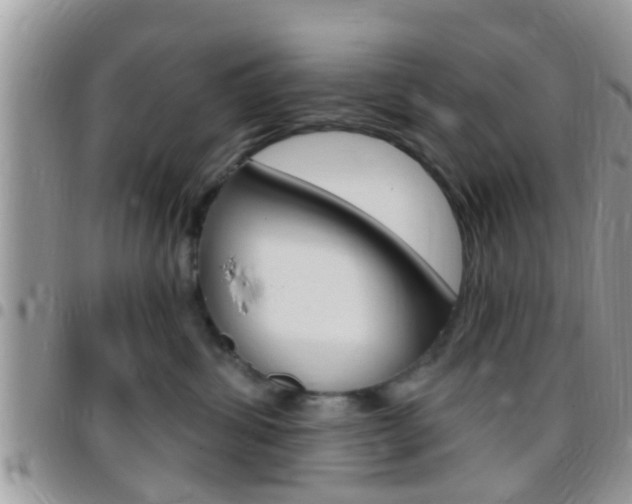 X0000096150428200801180833
