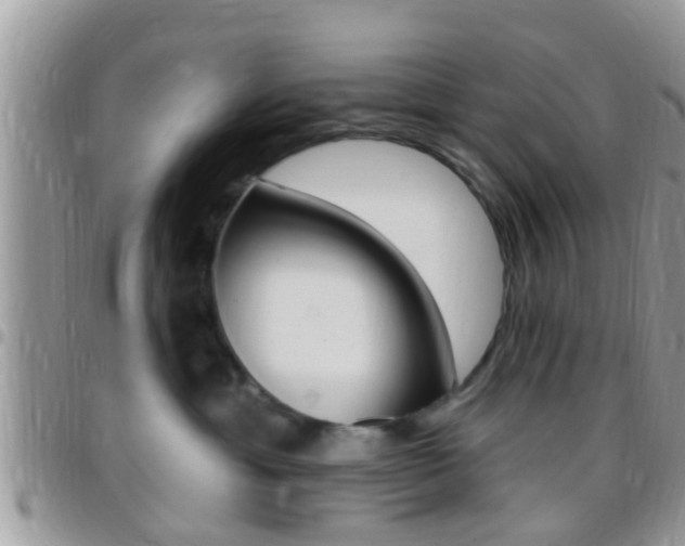 X0000096150429200801180833