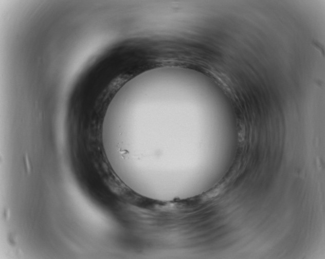 X0000096150430200801180833