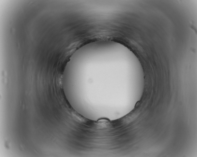 X0000096150432200801180833