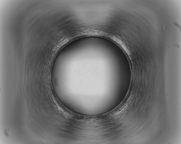 X0000096150433200801180833