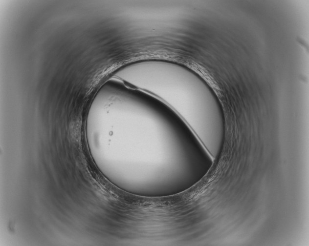 X0000096150434200801180833
