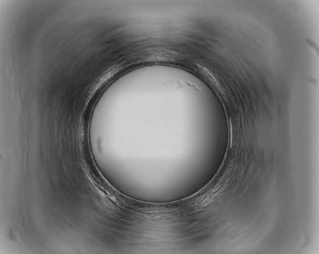 X0000096150435200801180833