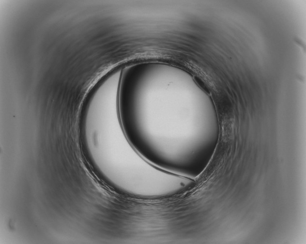X0000096150436200801180833