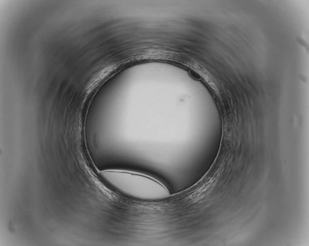 X0000096150437200801180833