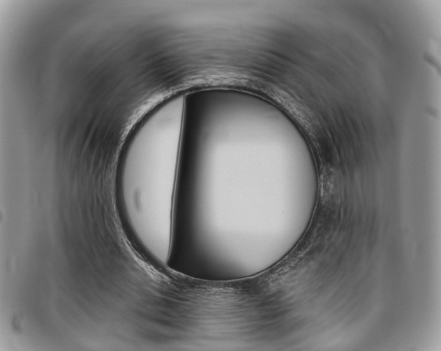 X0000096150438200801180833