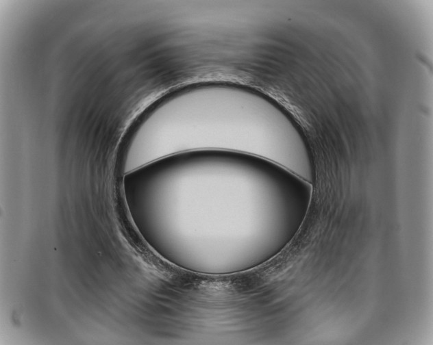 X0000096150440200801180833