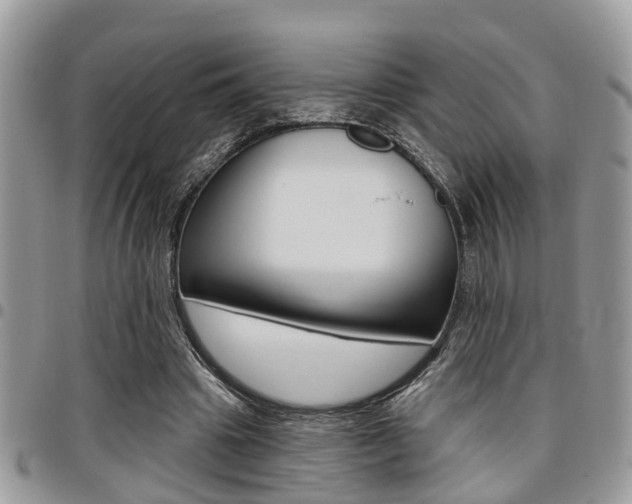 X0000096150441200801180833
