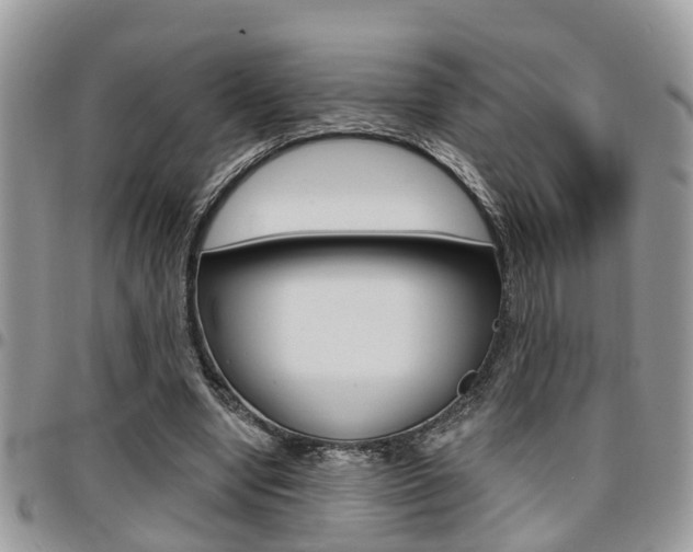 X0000096150442200801180833