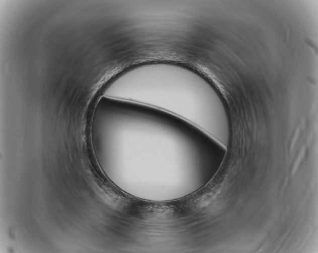 X0000096150443200801180833