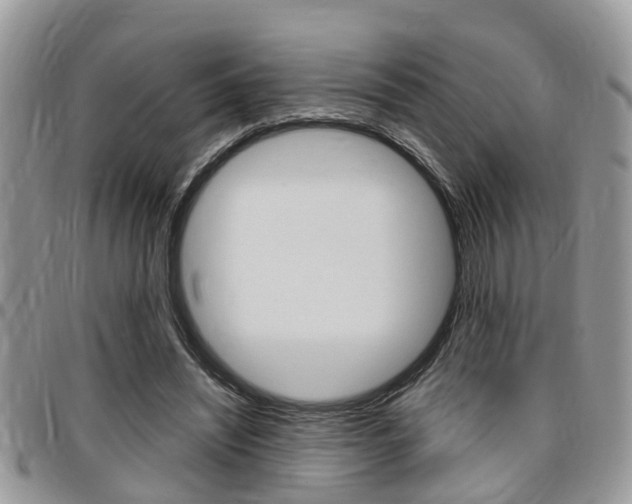 X0000096150444200801180833