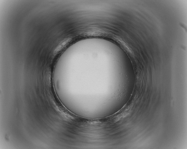 X0000096150446200801180833