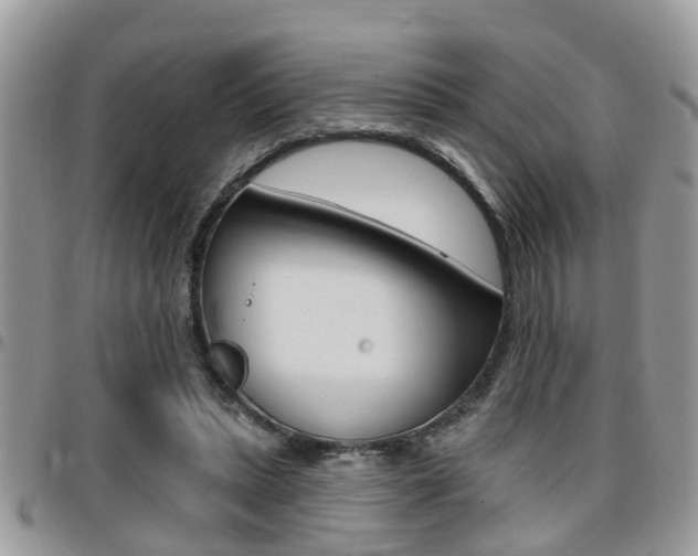 X0000096150447200801180833