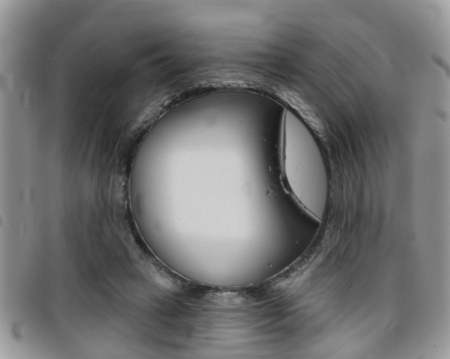X0000096150449200801180833