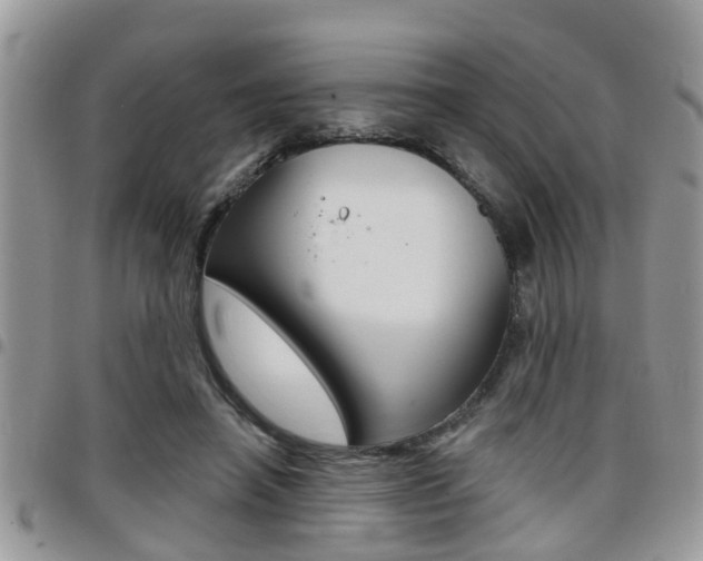 X0000096150450200801180833