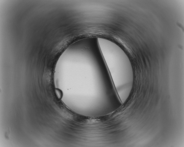 X0000096150451200801180833