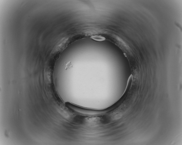 X0000096150452200801180833